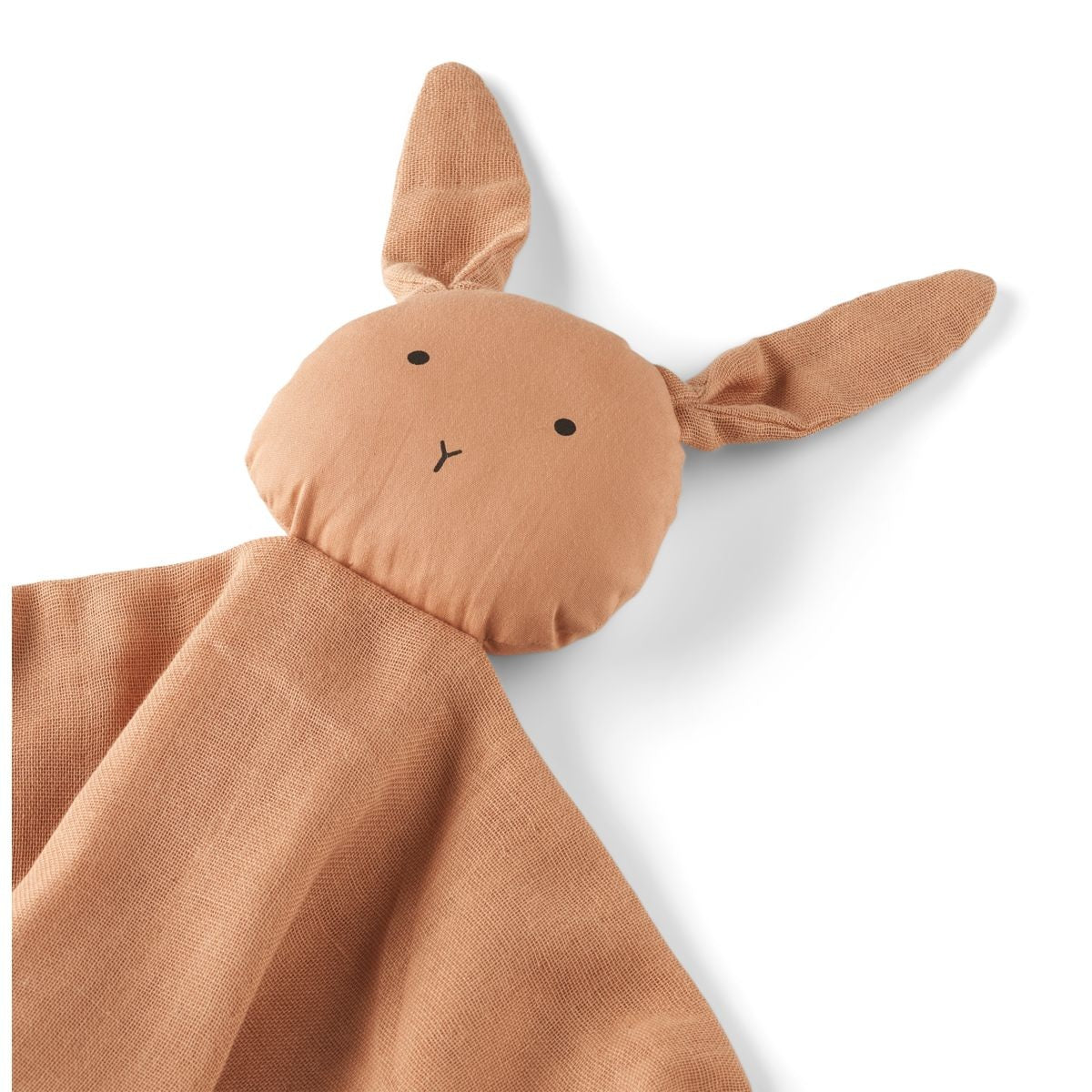 hase6.jpg