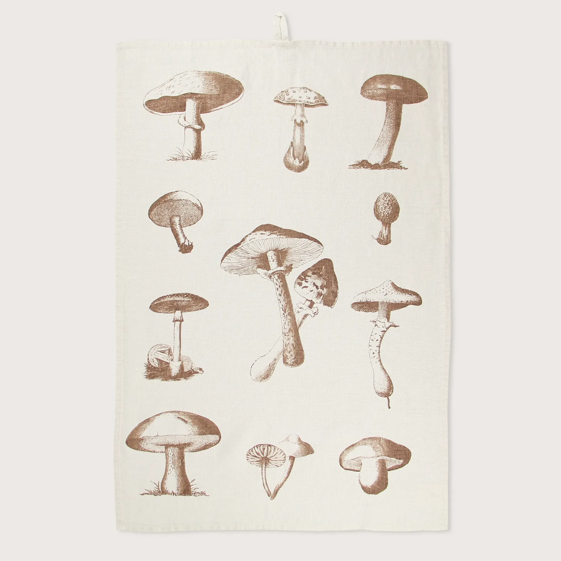 0005116_TO-MUSHROOMS-co.png