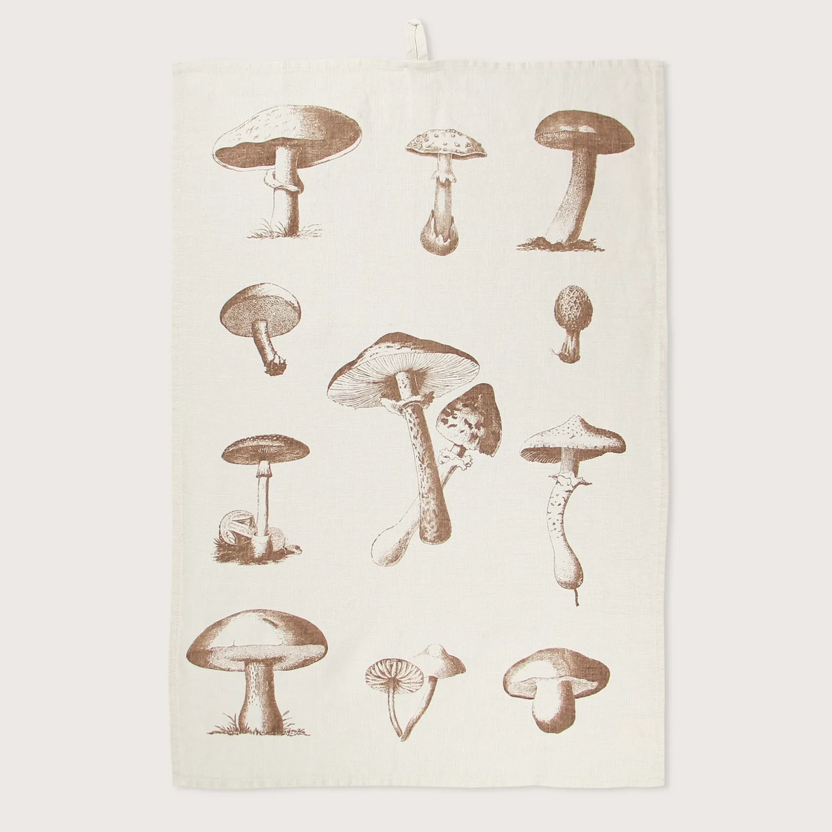 0005116_TO-MUSHROOMS-co.png