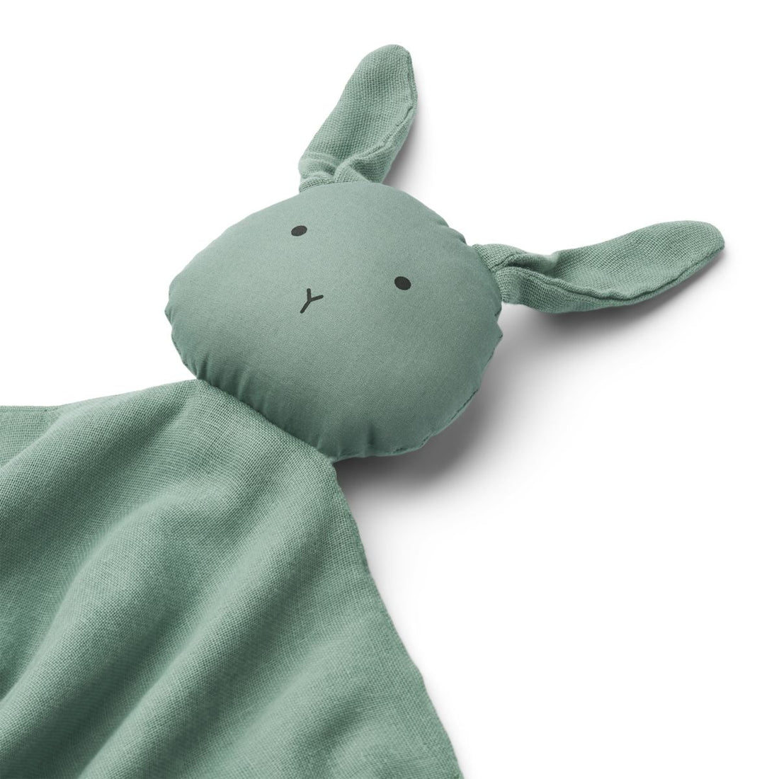 hase2.jpg