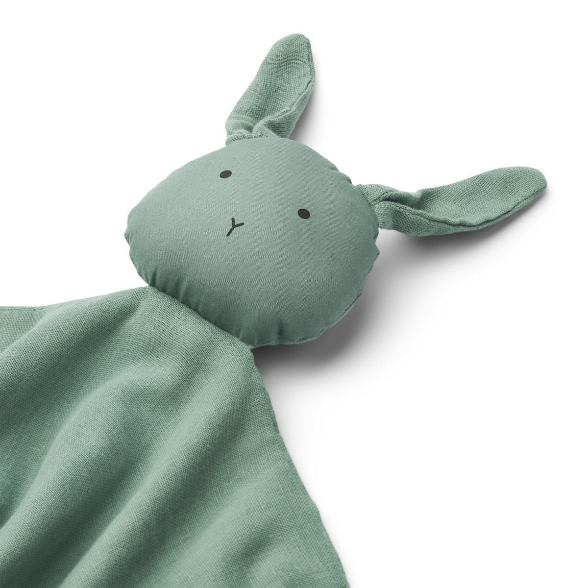 hase2.jpg