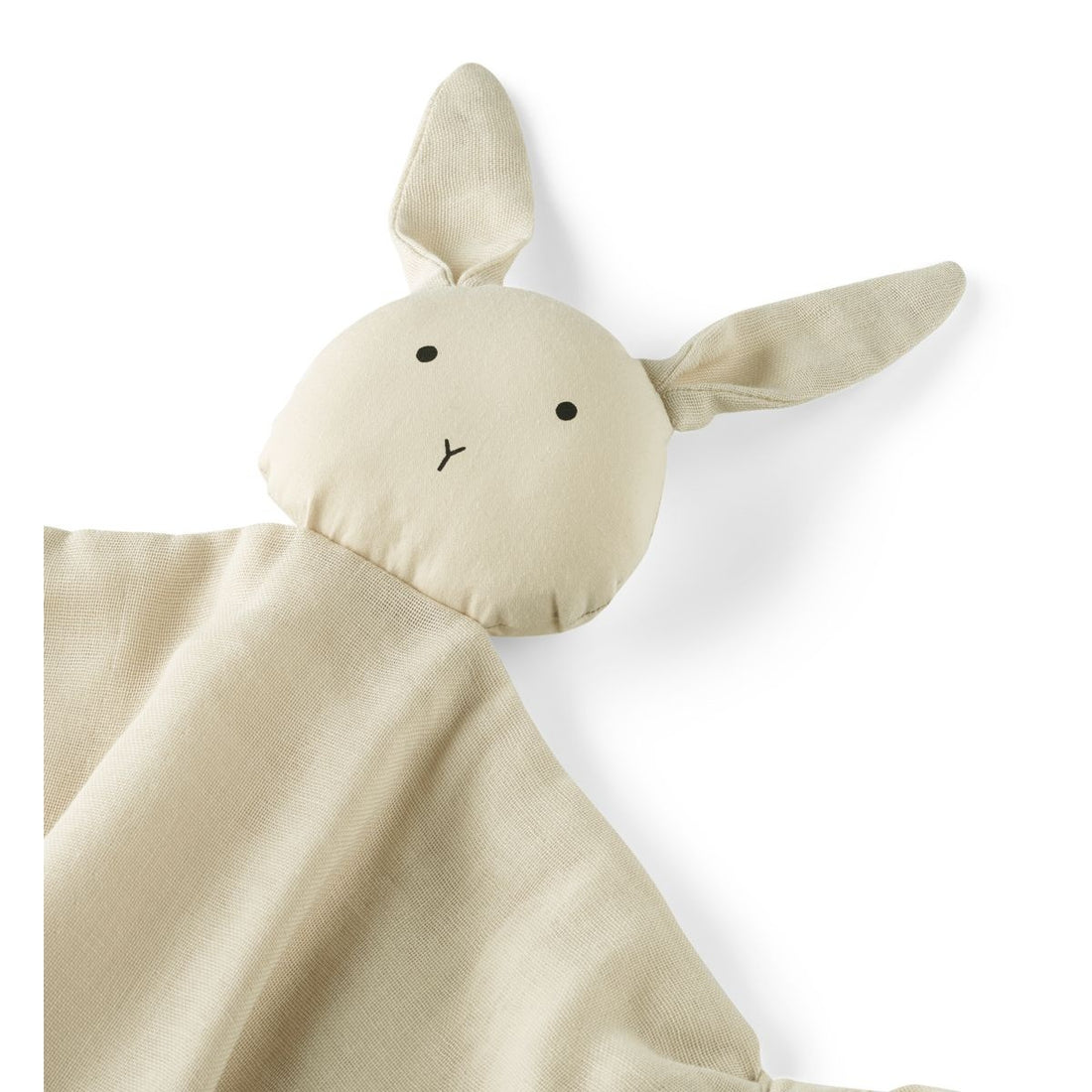hase4.jpg